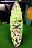 Freestyle 100 L 2009