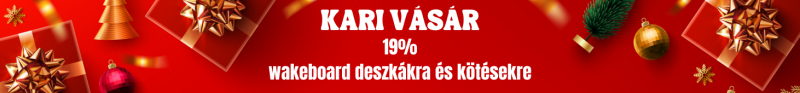 Kari Vásár wake