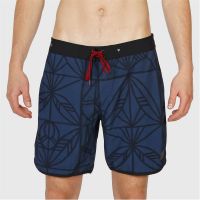 PAXTON-AO MENS BOARDSHORT