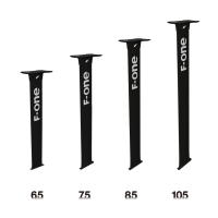 CARBON MAST 2021